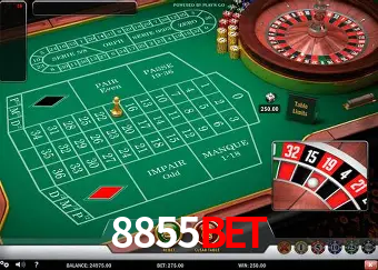 A Experiência Imersiva dos Cassinos Ao Vivo no 8855BET